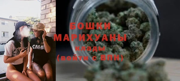 mdpv Богородицк
