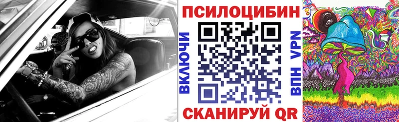 хочу наркоту  Петрозаводск  Псилоцибиновые грибы Magic Shrooms 